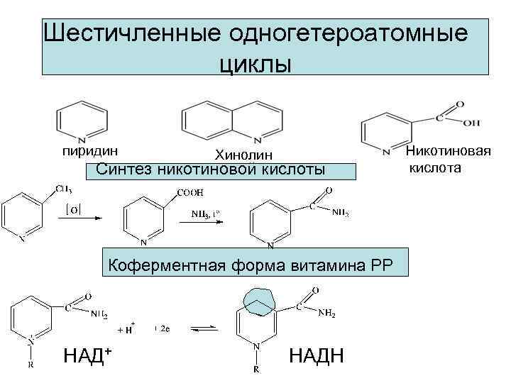 Шестичленные одногетероатомные   циклы  пиридин   Хинолин   Никотиновая Синтез