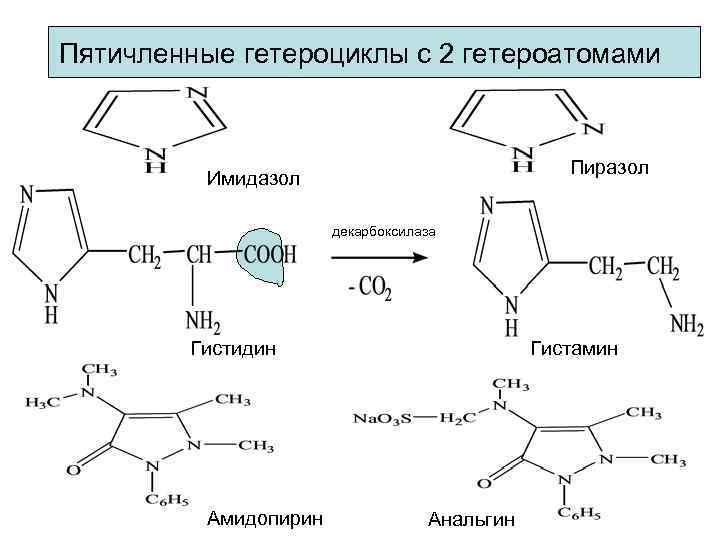 Пятичленные гетероциклы с 2 гетероатомами     Пиразол  Имидазол  