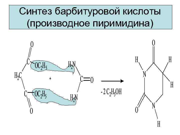 Синтез барбитуровой кислоты (производное пиримидина) 