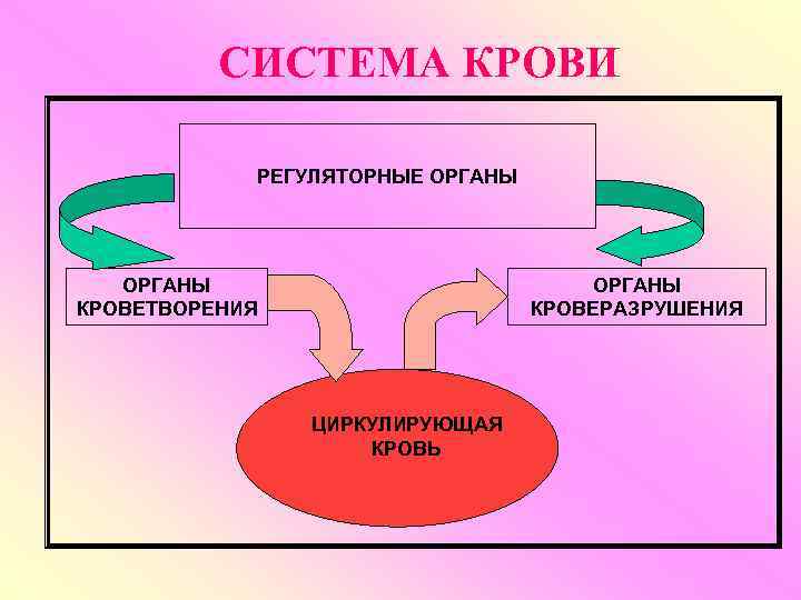 Схема систем крови