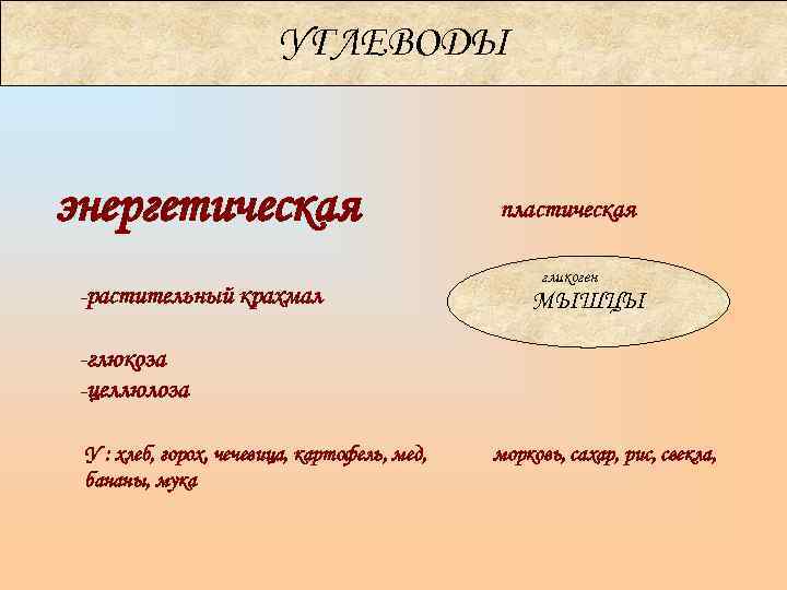     УГЛЕВОДЫ  энергетическая      пластическая 