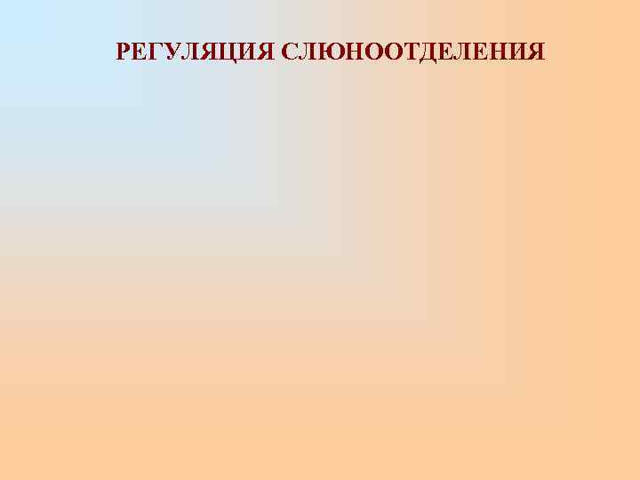 РЕГУЛЯЦИЯ СЛЮНООТДЕЛЕНИЯ 