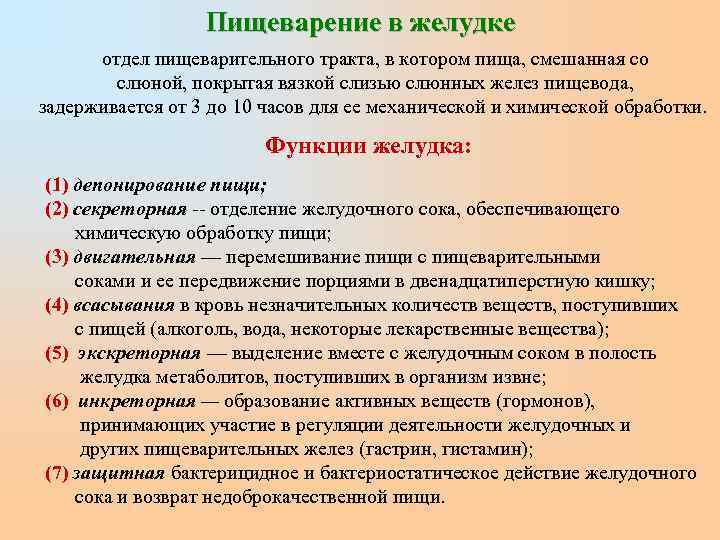    Пищеварение в желудке  отдел пищеварительного тракта, в котором пища, смешанная