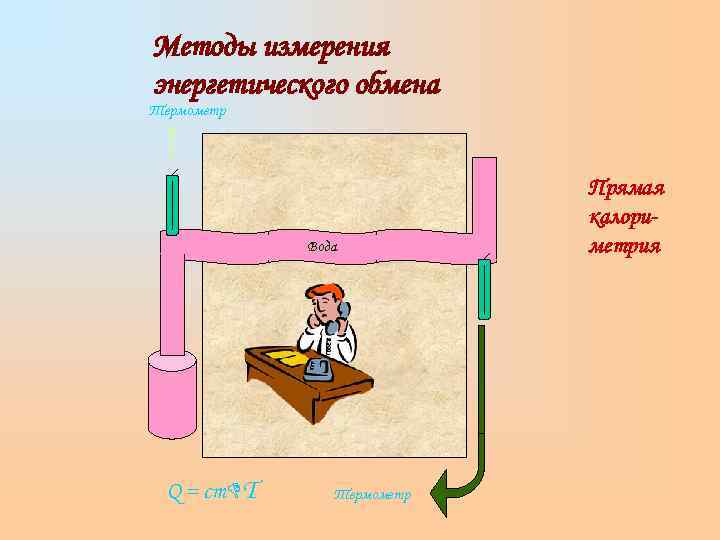 Методы измерения энергетического обмена Термометр      Прямая   
