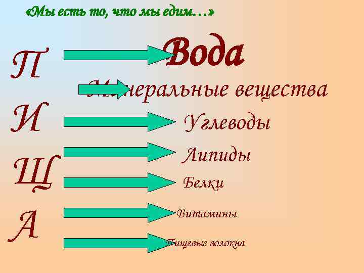  «Мы есть то, что мы едим…»  П   Вода  