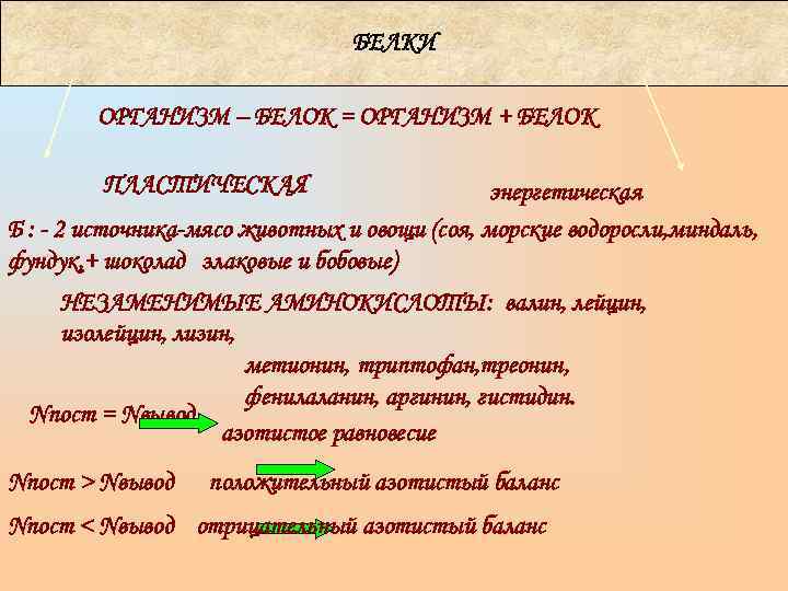        БЕЛКИ   ОРГАНИЗМ – БЕЛОК =