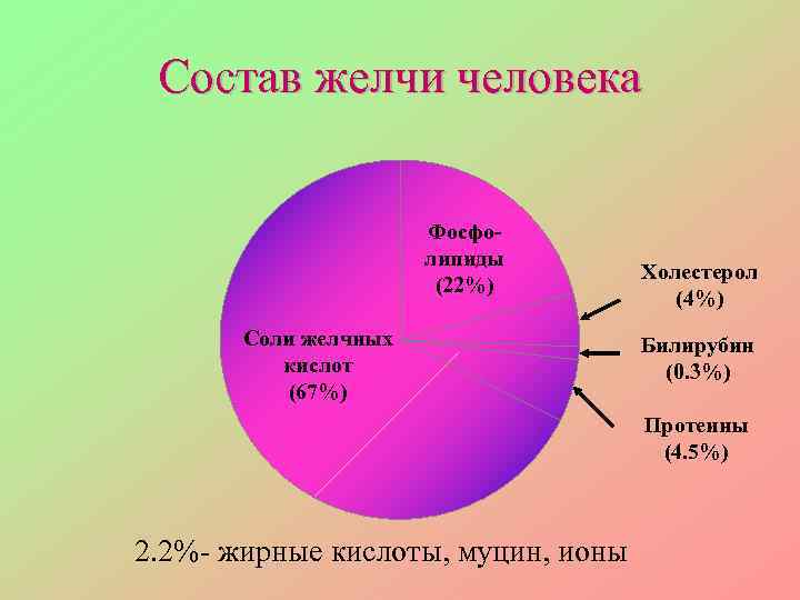 Состав человека группа