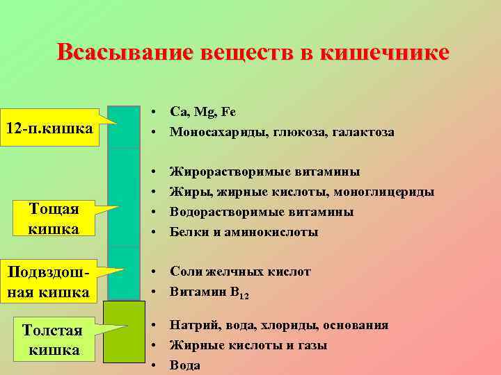 Всасывания веществ