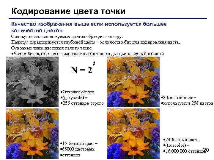 Кодирование цвета точки Качество изображения выше если используется большее количество цветов Совокупность используемых цветов Кодирование цвета точки Качество изображения выше если используется большее количество цветов Совокупность используемых цветов