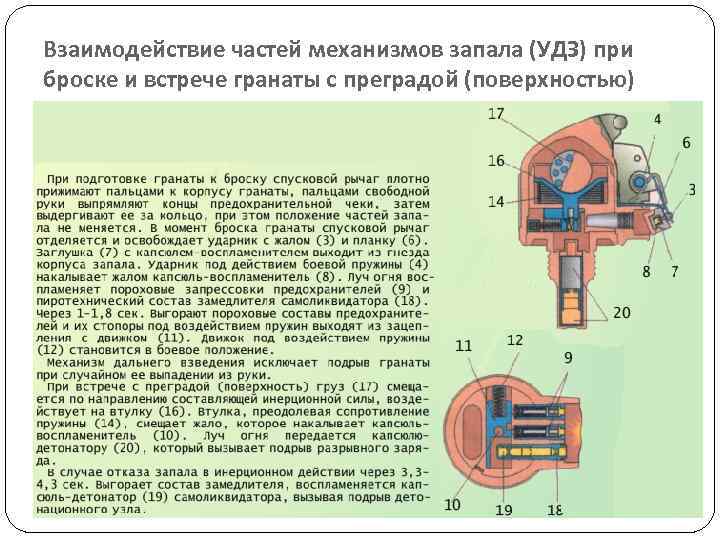 Взаимодействие частей механизмов запала (УДЗ) при броске и встрече гранаты с преградой (поверхностью) 