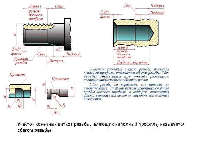 Участок конечных витков резьбы, имеющих неполный профиль, называется сбегом резьбы 
