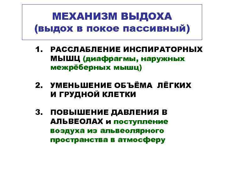   МЕХАНИЗМ ВЫДОХА (выдох в покое пассивный) 1. РАССЛАБЛЕНИЕ ИНСПИРАТОРНЫХ  МЫШЦ (диафрагмы,