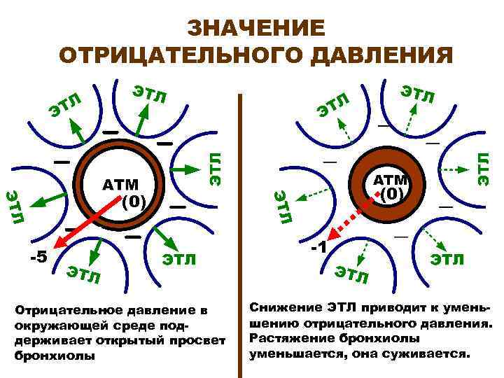 Что значит отрицательно. Отрицательное давление. Положительное и отрицательное давление. Как создать отрицательное давление. Значение отрицательного давления.