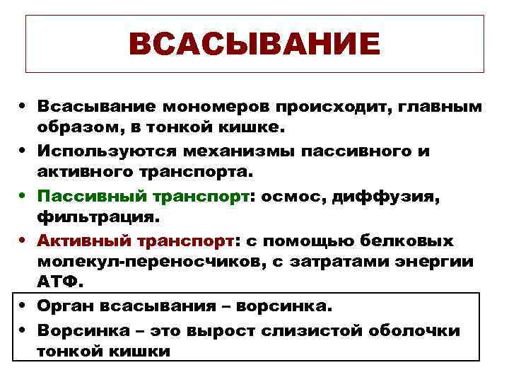    ВСАСЫВАНИЕ • Всасывание мономеров происходит, главным  образом, в тонкой кишке.