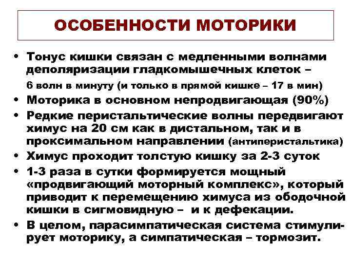  ОСОБЕННОСТИ МОТОРИКИ • Тонус кишки связан с медленными волнами  деполяризации гладкомышечных клеток