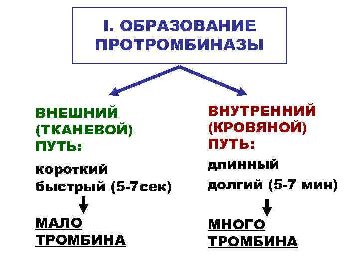   I. ОБРАЗОВАНИЕ  ПРОТРОМБИНАЗЫ  ВНЕШНИЙ  ВНУТРЕННИЙ (ТКАНЕВОЙ)   (КРОВЯНОЙ)