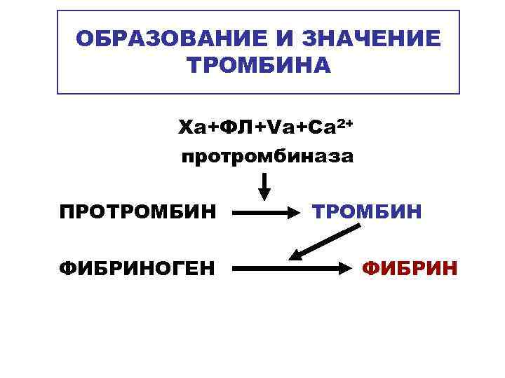  ОБРАЗОВАНИЕ И ЗНАЧЕНИЕ  ТРОМБИНА   Xa+ФЛ+Va+Ca 2+  протромбиназа ПРОТРОМБИН ФИБРИНОГЕН