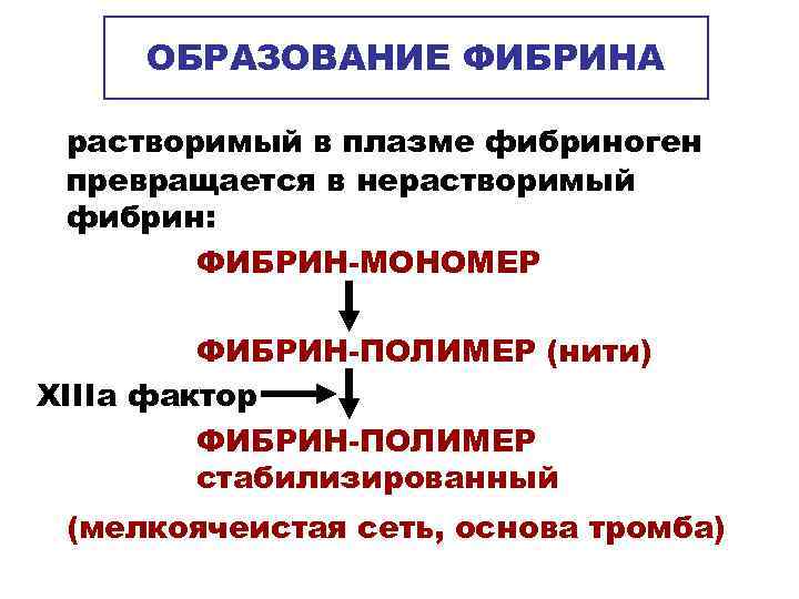  ОБРАЗОВАНИЕ ФИБРИНА  растворимый в плазме фибриноген превращается в нерастворимый фибрин:  