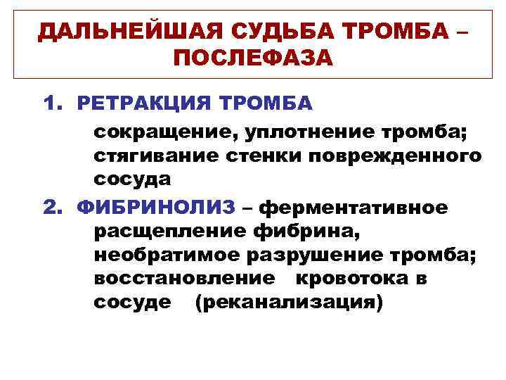 ДАЛЬНЕЙШАЯ СУДЬБА ТРОМБА –  ПОСЛЕФАЗА 1. РЕТРАКЦИЯ ТРОМБА сокращение, уплотнение тромба; стягивание стенки