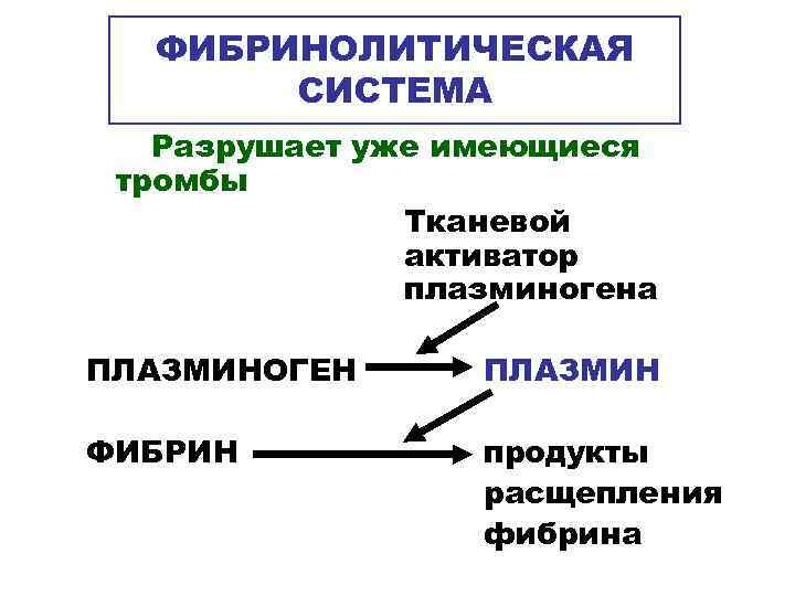  ФИБРИНОЛИТИЧЕСКАЯ  СИСТЕМА  Разрушает уже имеющиеся тромбы    Тканевой 