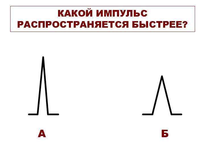 КАКОЙ ИМПУЛЬС РАСПРОСТРАНЯЕТСЯ БЫСТРЕЕ? А Б КАКОЙ ИМПУЛЬС РАСПРОСТРАНЯЕТСЯ БЫСТРЕЕ? А Б