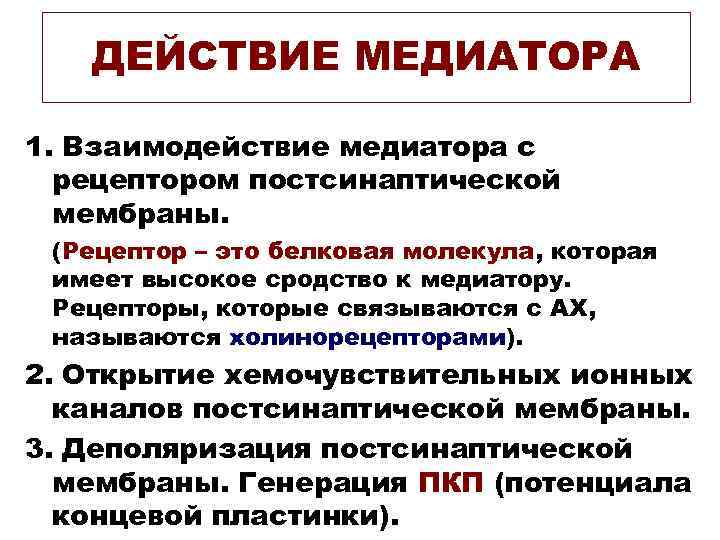 ДЕЙСТВИЕ МЕДИАТОРА 1. Взаимодействие медиатора с рецептором постсинаптической мембраны. ДЕЙСТВИЕ МЕДИАТОРА 1. Взаимодействие медиатора с рецептором постсинаптической мембраны.