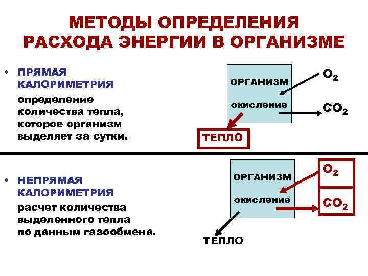 Обмен энергией признаки