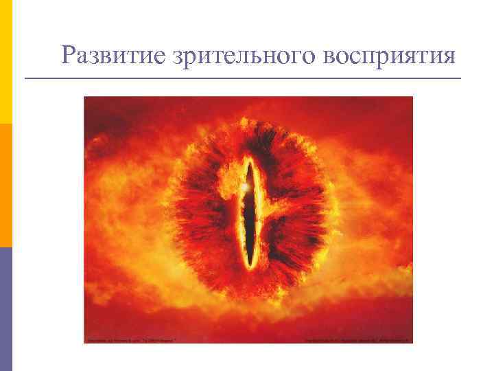 Развитие зрительного восприятия 