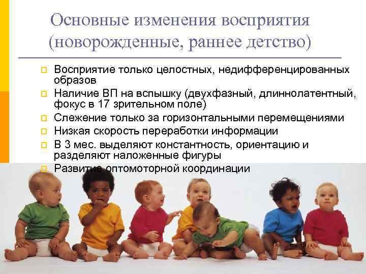   Основные изменения восприятия (новорожденные, раннее детство) p  Восприятие только целостных, недифференцированных