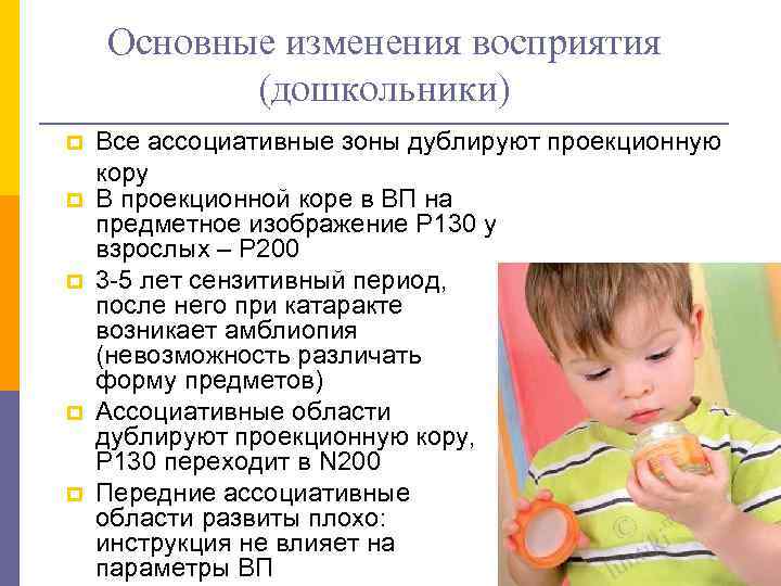   Основные изменения восприятия  (дошкольники) p  Все ассоциативные зоны дублируют проекционную