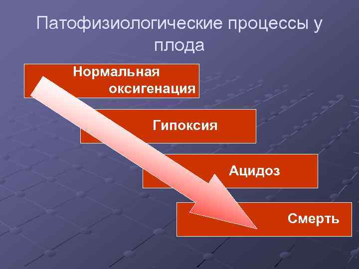 Патофизиологические процессы у   плода  Нормальная  оксигенация   Гипоксия 