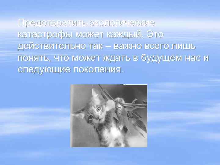 Предотвратить экологические катастрофы может каждый. Это действительно так – важно всего лишь понять, что