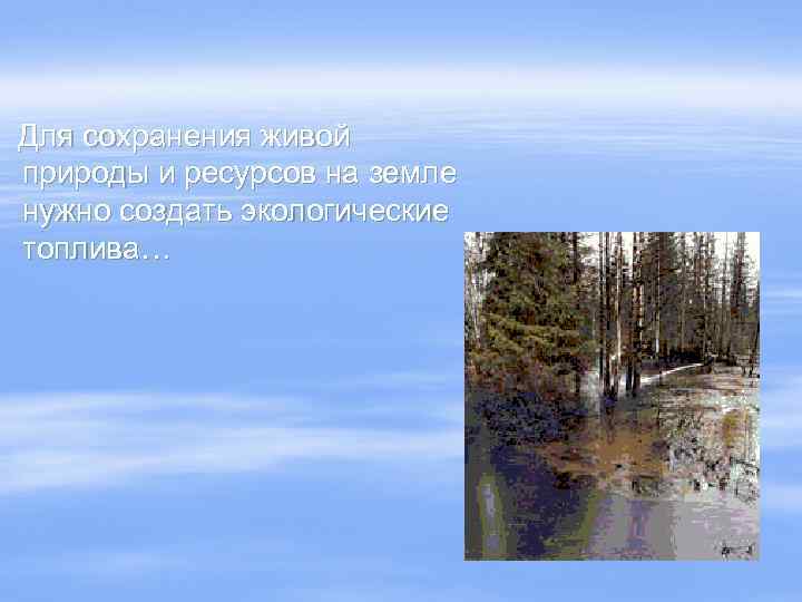 Для сохранения живой природы и ресурсов на земле нужно создать экологические топлива… 