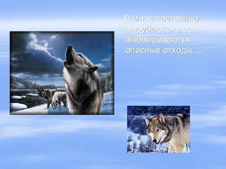 В мире постоянно вырубаются леса, выбрасываются опасные отходы…. 