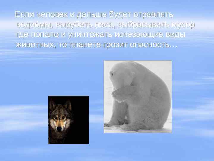 Если человек и дальше будет отравлять водоёмы, вырубать леса, выбрасывать мусор где попало и