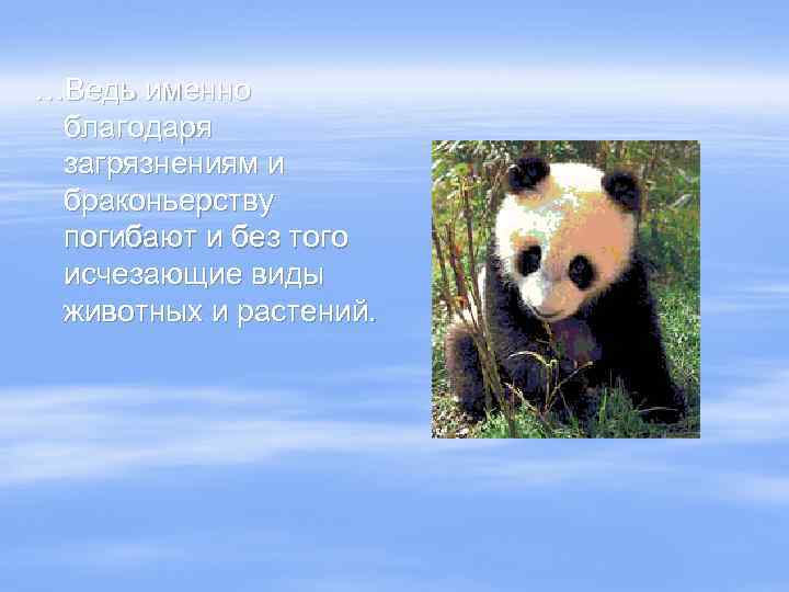 …Ведь именно благодаря загрязнениям и браконьерству погибают и без того исчезающие виды животных и