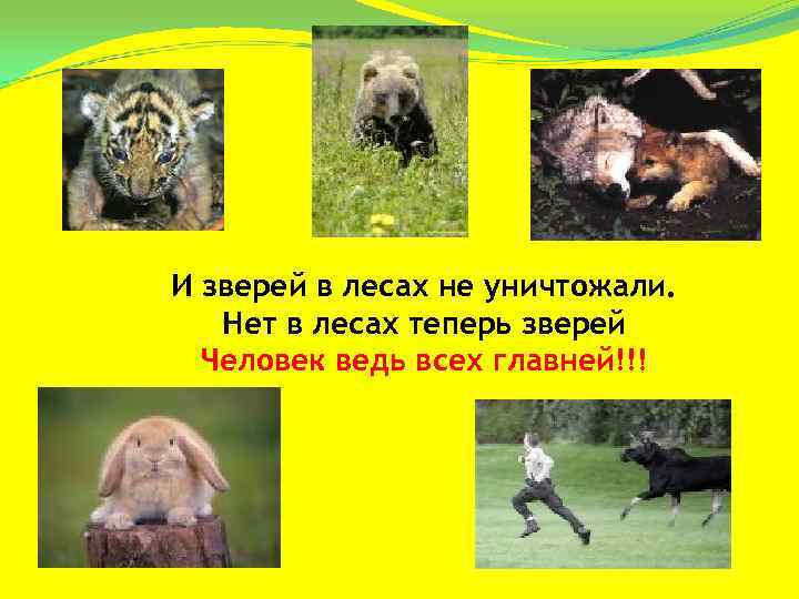 И зверей в лесах не уничтожали. Нет в лесах теперь зверей  Человек ведь