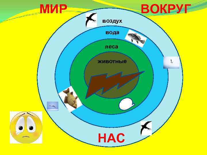 МИР   ВОКРУГ  воздух   вода   леса  животные