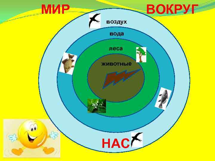 МИР   ВОКРУГ  воздух   вода   леса  животные
