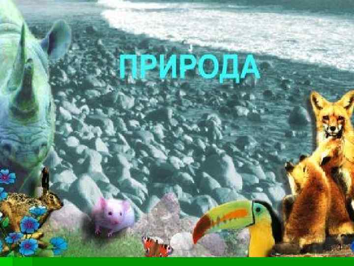 Природа 