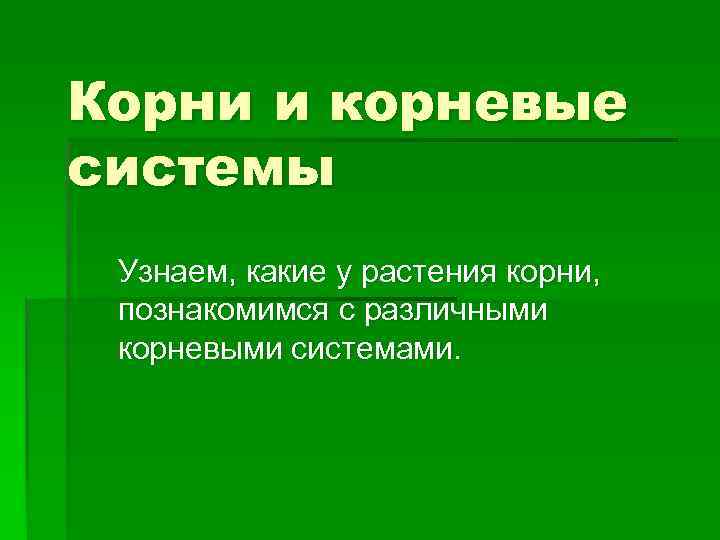 Корни и корневые системы Узнаем, какие у растения корни,  познакомимся с различными корневыми