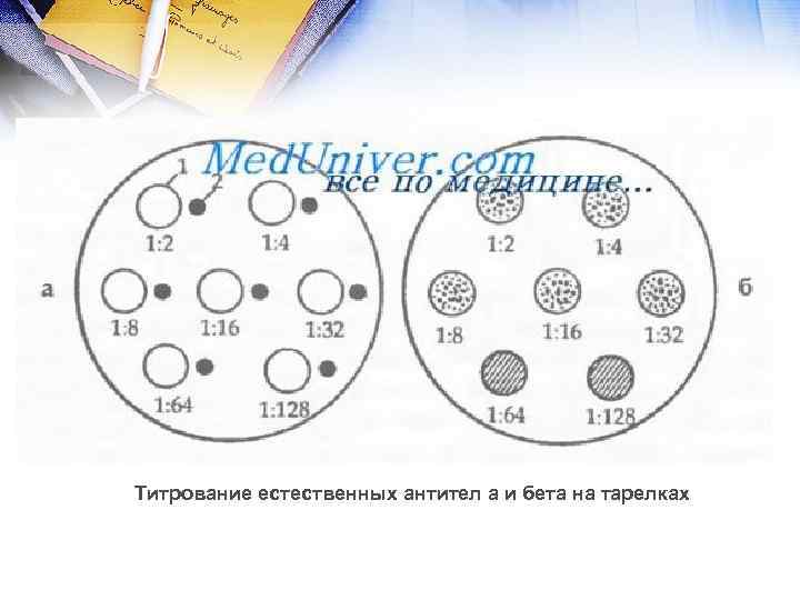 Титрование естественных антител а и бета на тарелках 