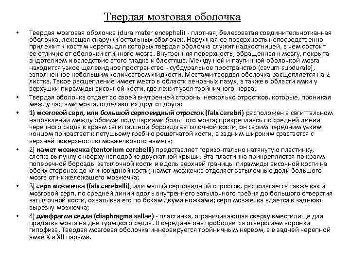      Твердая мозговая оболочка •  Твердая мозговая оболочка (dura