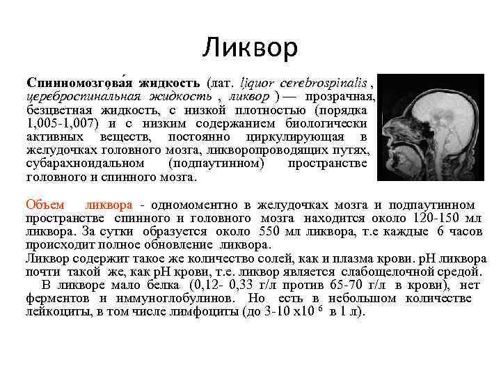       Ликвор Спинномозгова я жидкость (лат.  liquor cerebrospinalis
