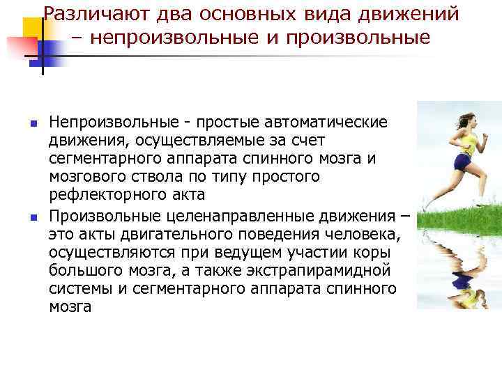   Различают два основных вида движений  – непроизвольные и произвольные  n