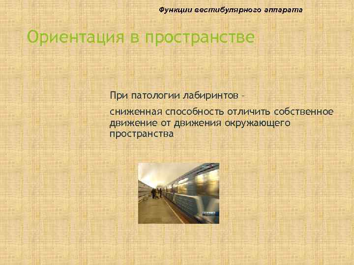    Функции вестибулярного аппарата  Ориентация в пространстве  При патологии лабиринтов