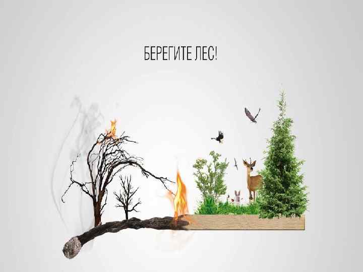 Free Powerpoint Templates     Page 10 