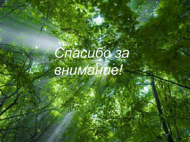 Спасибо за внимание! Free Powerpoint Templates      Page 11 