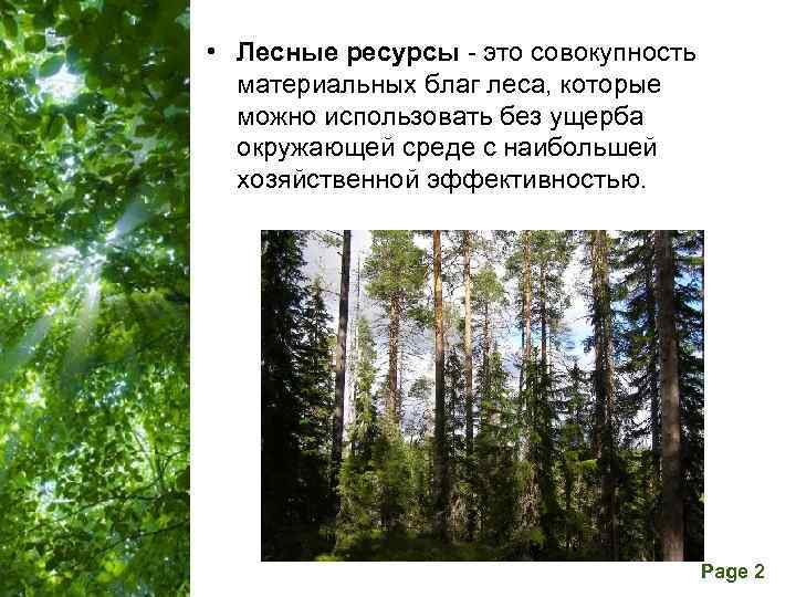  • Лесные ресурсы - это совокупность  материальных благ леса, которые  можно