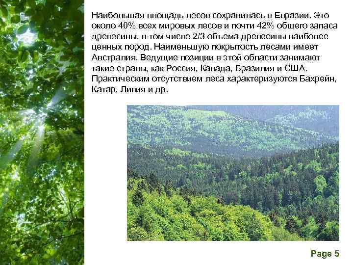 Наибольшая площадь лесов сохранилась в Евразии. Это около 40% всех мировых лесов и почти